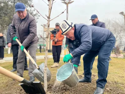 Ош облусунун башчысы Барпы Алыкулов сейил багына жазы жалбырактуу дарактарды отургузуу иш-чарасына катышты