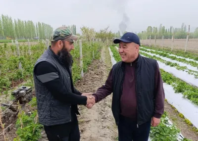 Аманкан Кенжебаев Өзгөн районунда айлана-чөйрөнү тазалоо жана көрктөндүрүү боюнча жүргүзүлүп жаткан иштер менен таанышты.