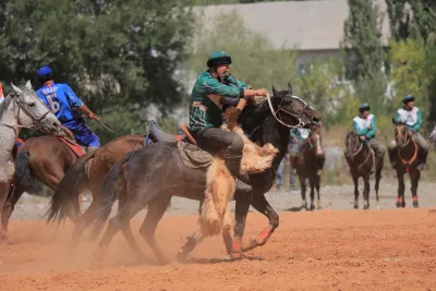 Алай командасы көк бөрү мелдешинде чемпион болду